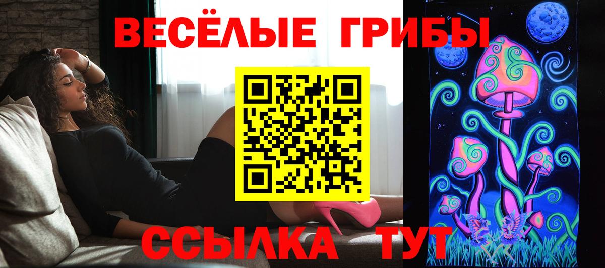 Киреевск  Псилоцибиновые грибы мухоморы  Псилоцибиновые грибы Psilocybine cubensis  Вход с VPN 